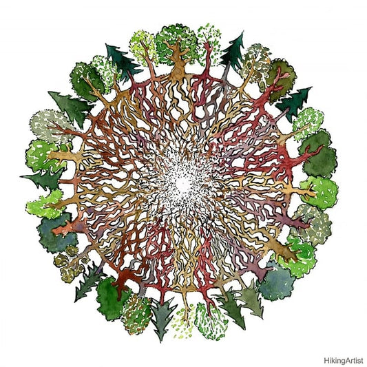 Buen vivir y la ética de las redes que transforman