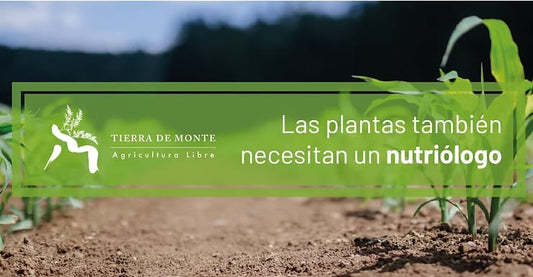 Las plantas también necesitan un nutriólogo