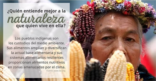 La resistencia indígena... también ante el cambio climático