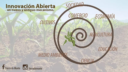 Innovación abierta: el más nuevo y antiguo mecanismo de innovación