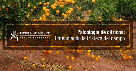 Psicología de cítricos: Entendiendo la tristeza del campo