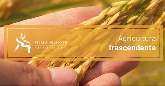 Agricultura trascendente