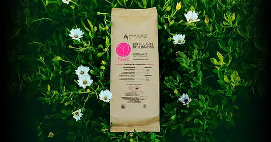 FloreC: Pieza clave para la floración