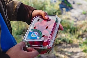 Agricultura Regenerativa: 7 razones | Tierra de Monte