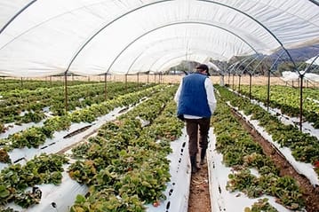 BioAgTech: soluciones para el presente de la agricultura