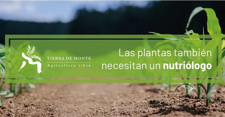 Las plantas también necesitan un nutriólogo