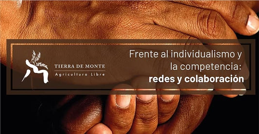 Frente al individualismo y la competencia: redes y colaboración