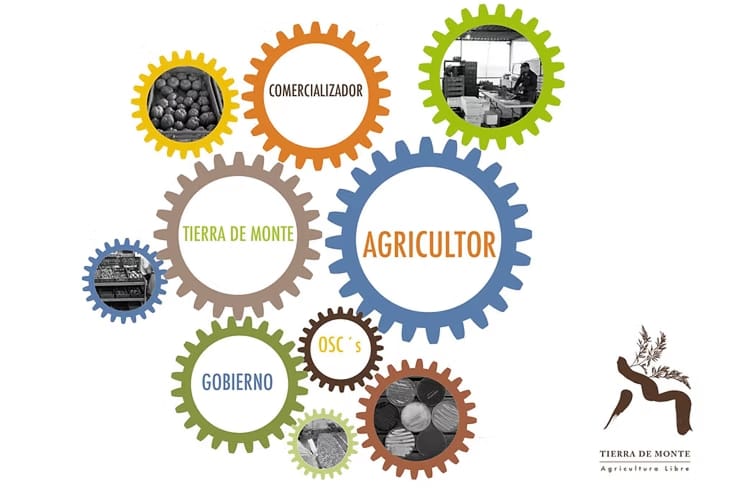 Cultivos no cosechados en el campo y hambre en la ciudad. Agricultura inclusiva para resolverlo