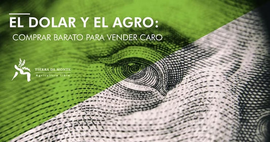 El Dólar y el Agro: comprar caro para vender barato