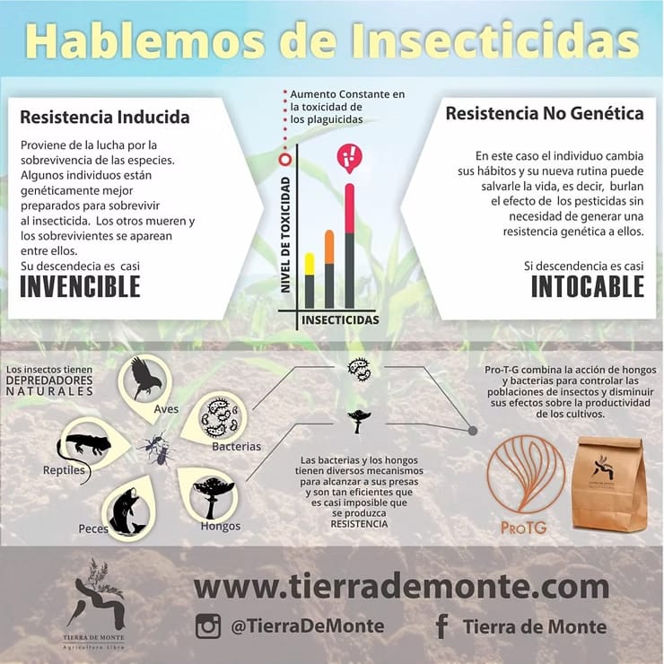 Hay muchas maneras de matar plagas, pero hay unas mejores que otras