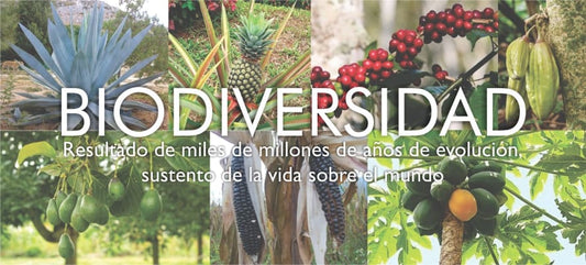 Así en el amor y la biodiversidad: cuando das algo por sentado corres el riesgo de perderlo