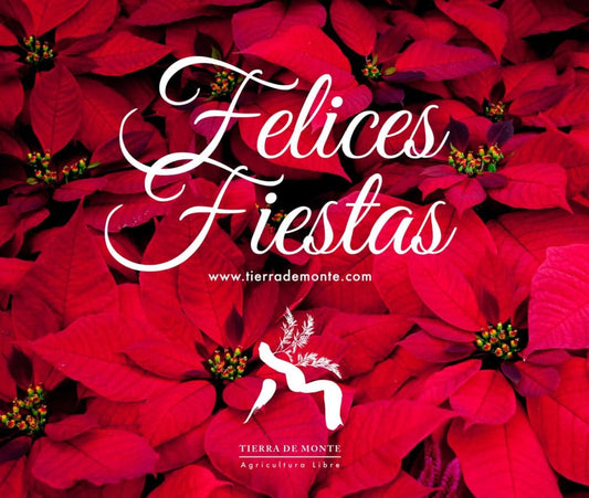 Felices Fiestas