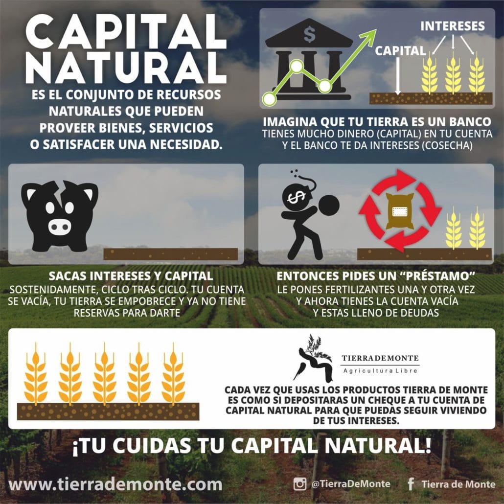 ¿Tú cuidas tu capital natural?