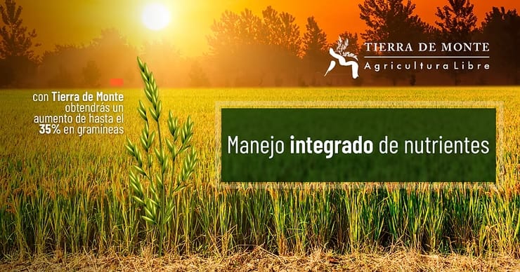 Manejo integrado de nutrientes
