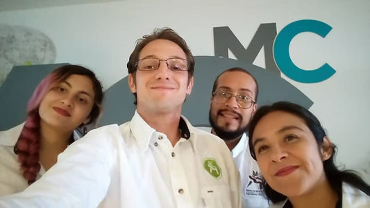 Finalistas en el Programa de Aceleración MassChallenge, 2017