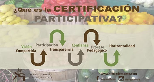 Colaboración para la certificación: una puerta para la agricultura orgánica