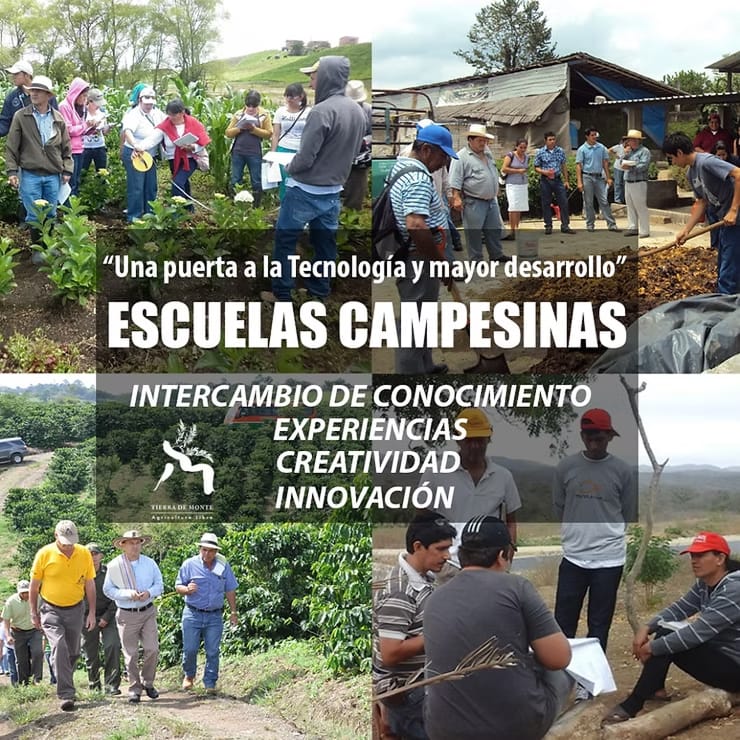 Compartiendo Agri-Culturas: Escuelas campesinas