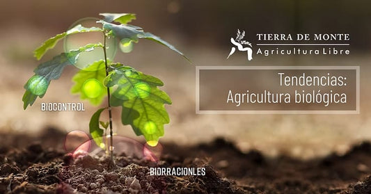 Tendencias: agricultura biológica