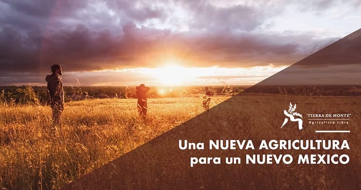 Una nueva agricultura para un nuevo México