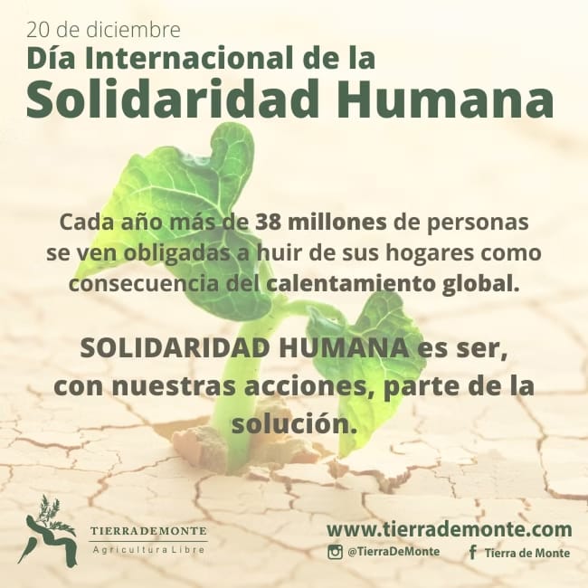 Mitigando y revirtiendo problemáticas medioambientales y sociales: La agricultura como eje de cambio