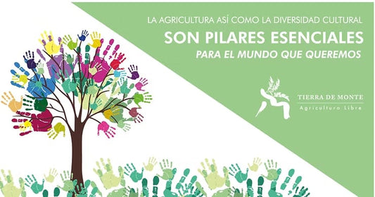 Diversidad y Justicia: Manteniendo nuestras raíces