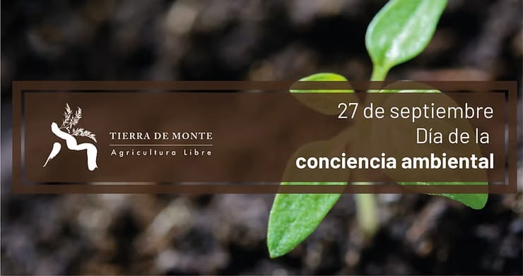 Que nuestro caminar deje huellas de vida