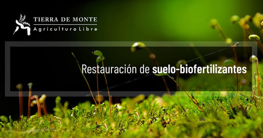 Restauración de Suelo - biofertilizantes
