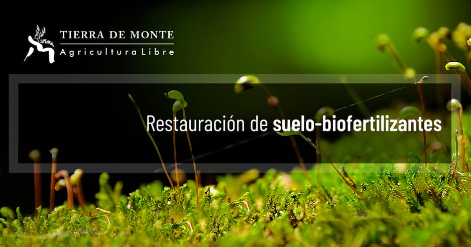 Restauración de Suelo - biofertilizantes