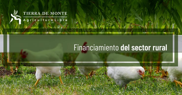 Oportunidades de Financiamiento para el Sector Rural en México