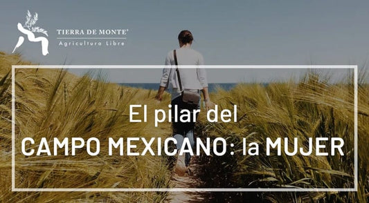 El pilar del campo mexicano: la mujer