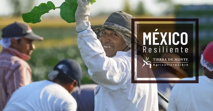 México Resiliente: La capacidad de aprovechar los aires cambio