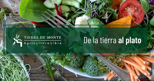 De la Tierra al Campo