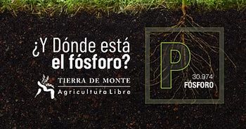¿Dónde está todo el fósforo?