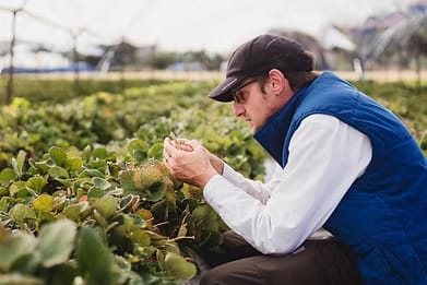 Agricultura Climáticamente Inteligente: El Agro como pilar de cambio