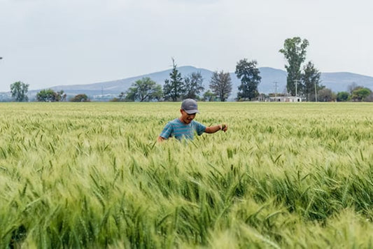 La agricultura puede construir paz