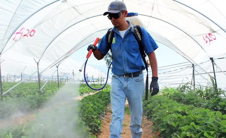 Cuidado integral del suelo