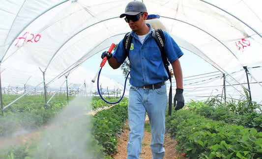 Cuidado integral del suelo