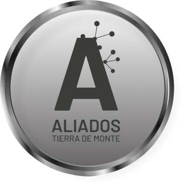 PLATINO