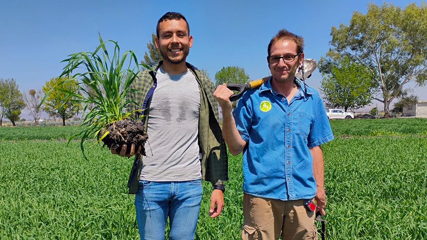 Equipo de Tierra de Monte en campo agrícola.